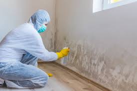 Best Forensic Mold Investigation  in Liberty, PA