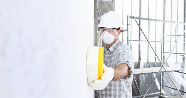 Best Residential Mold Inspection & Testing  in Liberty, PA