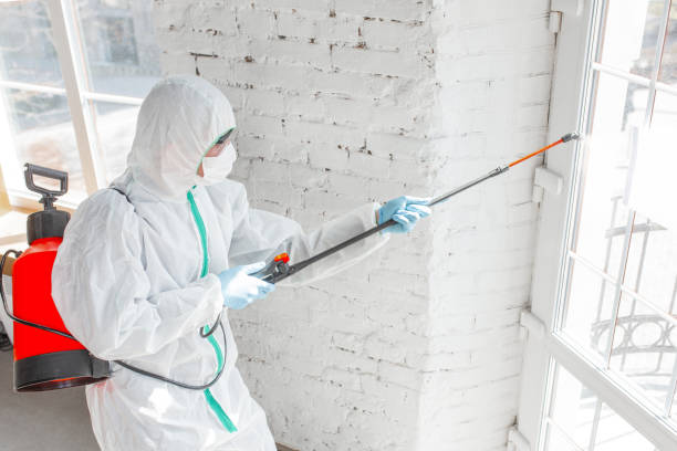 Best Industrial Mold Remediation  in Liberty, PA